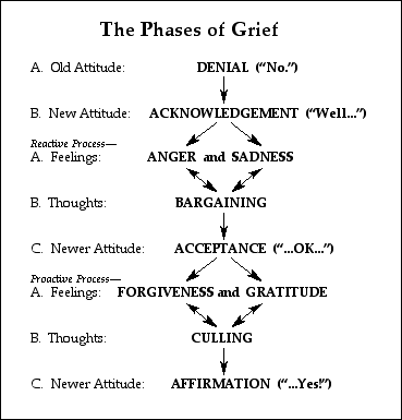 illustration of the pahases of grief