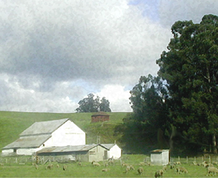several barns with sheep grazing on green grass