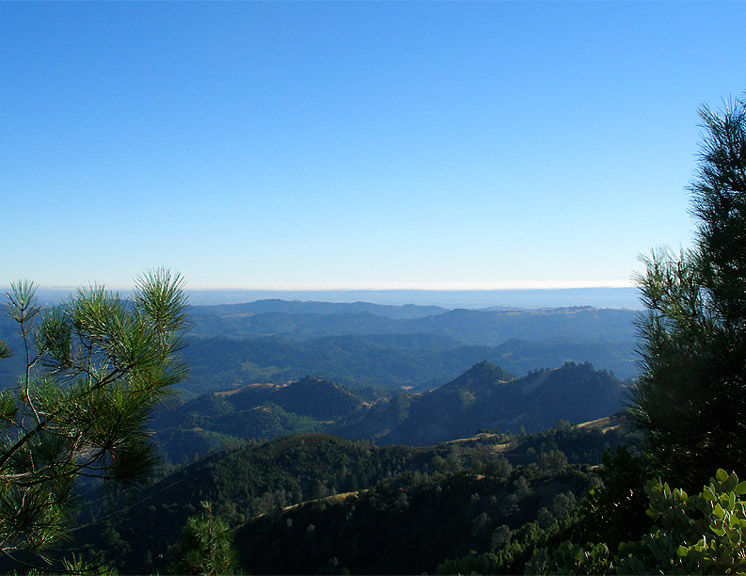 from high terrain, a distant sea of blue-green mountains