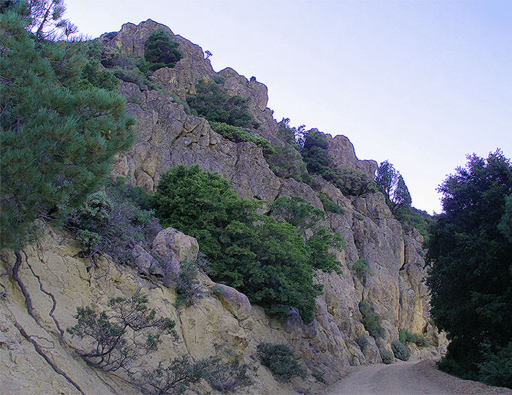 tree studded rock face rising to left of gravel road