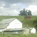 several barns with sheep grazing in green grass