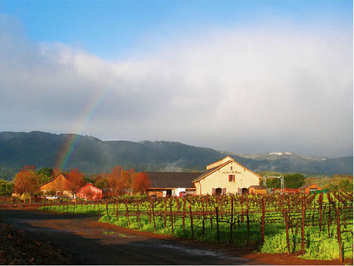 a rainbow over vinyards with length of mountain and cloudy sky in background