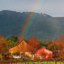 a rainbow against vinyard, clouds and mountain